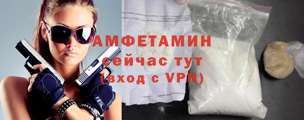 PSILOCYBIN Бородино