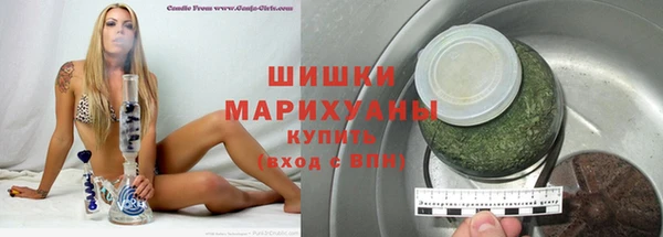 PSILOCYBIN Бородино