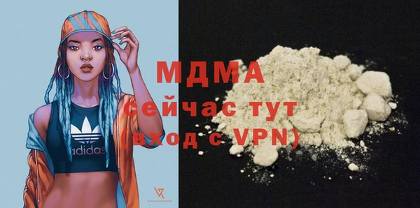 PSILOCYBIN Бородино