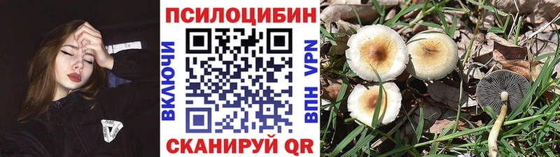 закладка  Биробиджан  Галлюциногенные грибы GOLDEN TEACHER 